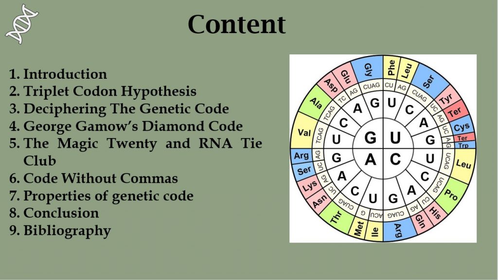 Deciphering Genetic Code Presentation