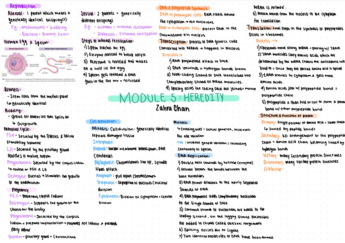 Biology Notes For High School - NoteXchange