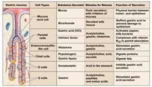 Biochemical Signalling