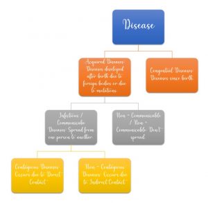 Human Health and Diseases