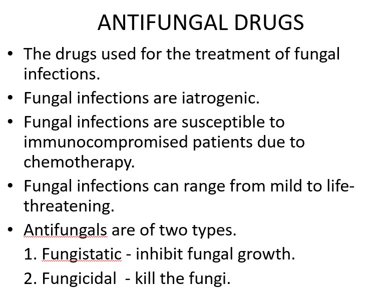 Antifungal Drugs - NoteXchange