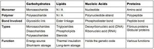 Large Biological Molecules