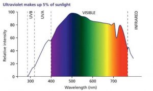 Skin and Photosensitivity