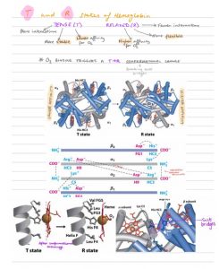 Foundations of Molecular and Cellular Biomedicine