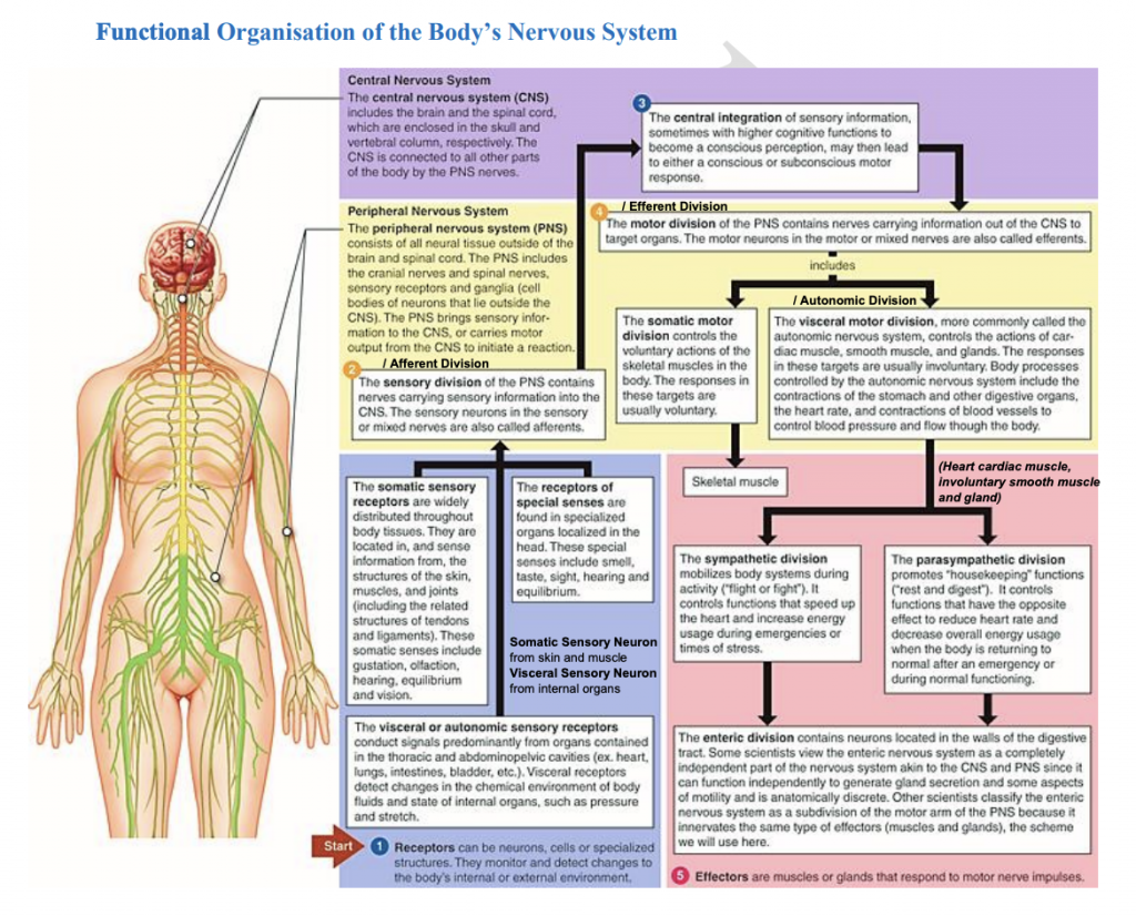 Human Biology