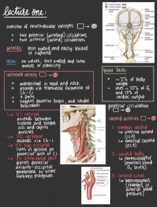 The Science of Communication