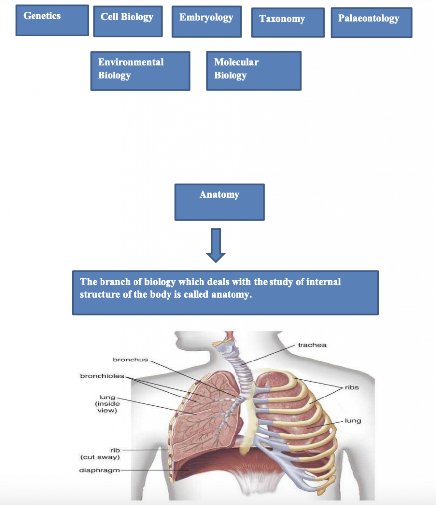 Comprehensive Overview of Biology