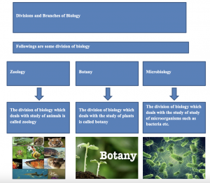 Comprehensive Overview of Biology