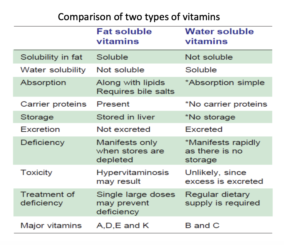 All About Vitamins in Biochemistry - NoteXchange