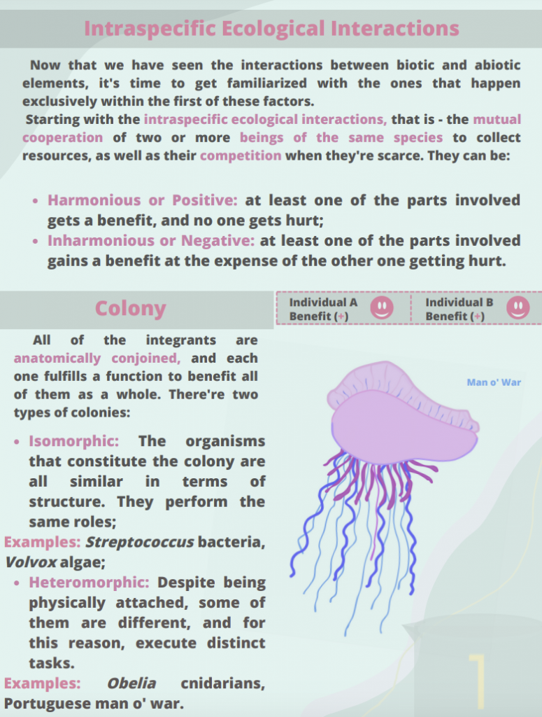 Ecosystem Part III Ecological Interactions